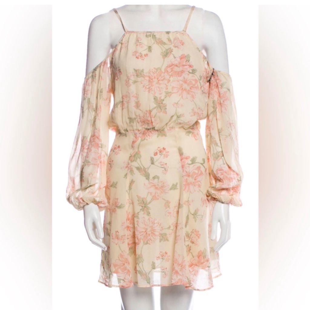 Reformation Nadia Fairy Sheer Cold Shoulder Long Sleeve Floral Mini Dress Xs
